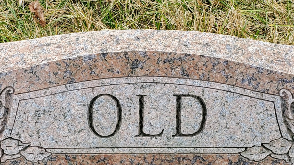 How Old Is Makima in One-Punch Man Clarifying the Characters Origin